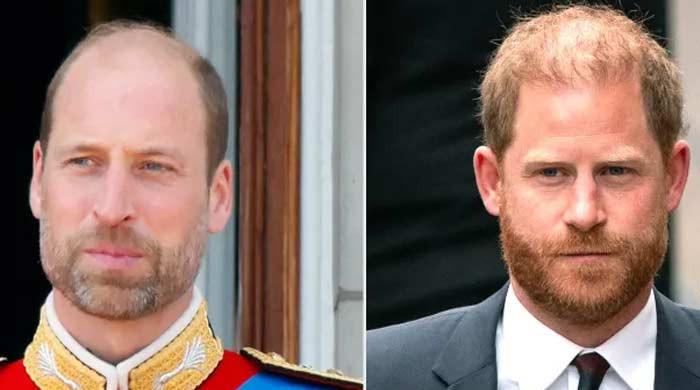 Prince Harry Believes Public Does Not Know the Real Prince William