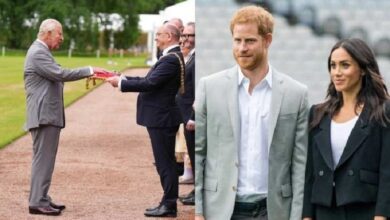 King Charles Shares Major Palace Update Amid Prince Harry and Meghan UK Discussions