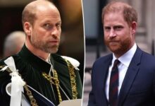 Prince William Reportedly Struggles Emotionally Amid Prince Harry Security Drama