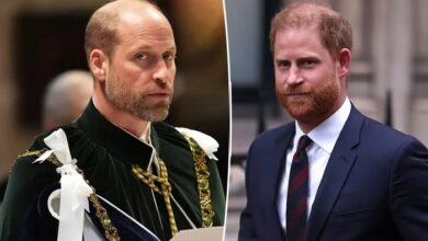 Prince William Reportedly Struggles Emotionally Amid Prince Harry Security Drama