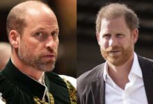 Prince William Reportedly Shows No Interest in Reconciling With Prince Harry