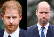Prince William’s Reported Reaction to Prince Harry’s Security and Family Reunion Revealed