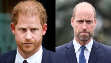 Prince William's Reaction to Prince Harry's Security and Reunion Comes to Light