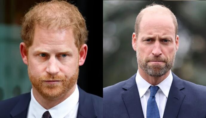 Prince William’s Reported Reaction to Prince Harry’s Security and Family Reunion Revealed