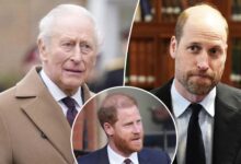 King Charles Reportedly Holds Talks With Prince William as Prince Harry Royal Reconciliation Face Uncertainty