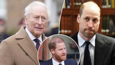 King Charles Holds Talks With Prince William as Prince Harry Drama Deepens