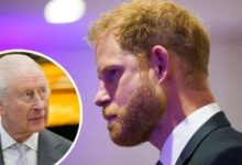 King Charles Faces Fresh Frustration After Prince Harry Arrives in UK Alone