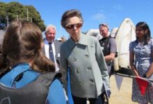 Princess Anne Carries Out Dorset Engagement as Prince Harry's UK Visit Continues