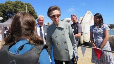 Princess Anne Carries Out Dorset Engagement as Prince Harry's UK Visit Continues