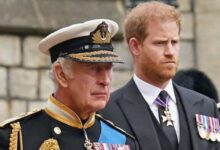 Prince Harry's Team Shares Important Update as King Charles Reunion Talks Continue