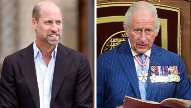 King Charles and Prince William Receive Heartwarming Palace Update as Royal Family Marks Major Milestone