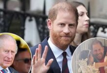 Prince Harry Continues UK Visit as Speculation Grows Over Possible Meeting With King Charles