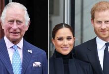 King Charles Private Reunion With Prince Harry as Archie and Lilibet Remain the Main Focus