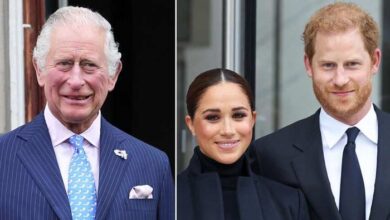 King Charles Private Reunion With Prince Harry as Archie and Lilibet Remain the Main Focus