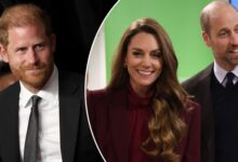 Prince William and Princess Kate Were Informed Before King Charles Private Meeting With Prince Harry