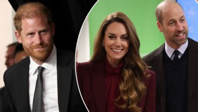 Prince William and Princess Kate Were Informed Before King Charles Private Meeting With Prince Harry