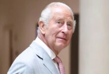 King Charles Receives Baby News After Archie and Lilibet's Special Family Meeting