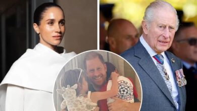Meghan Markle Draws 'Red Line' After Reunion With King Charles as Prince Harry Faces Fresh Heartbreak