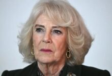 Queen Camilla Plays Key Role in King Charles Meeting With Prince Harry and Meghan Markle