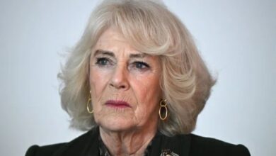 Queen Camilla Plays Key Role in King Charles Meeting With Prince Harry and Meghan Markle