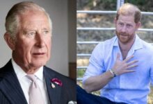Prince Harry Faced Fresh Scrutiny Over His Recent United Kingdom Trip