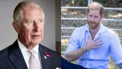 Prince Harry Faced Fresh Scrutiny Over His Recent United Kingdom Trip