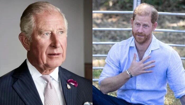 Prince Harry Faced Fresh Scrutiny Over His Recent United Kingdom Trip