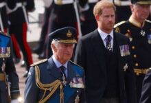 King Charles Reportedly Prioritized Palace Staff During Prince Harry's UK Visit