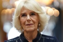 King Charles Office Shares Update on Queen Camilla Following Important Clarence House Meeting