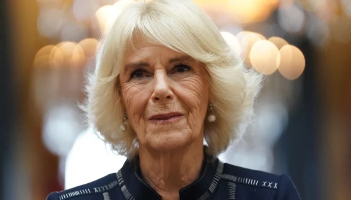 King Charles Office Shares Update on Queen Camilla Following Important Clarence House Meeting