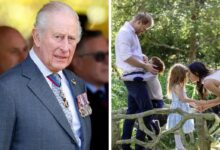 Prince Harry and Meghan Markle Face Crucial Decision After Private Reunion With King Charles
