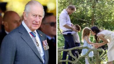 Prince Harry and Meghan Markle Face Crucial Decision After Private Reunion With King Charles