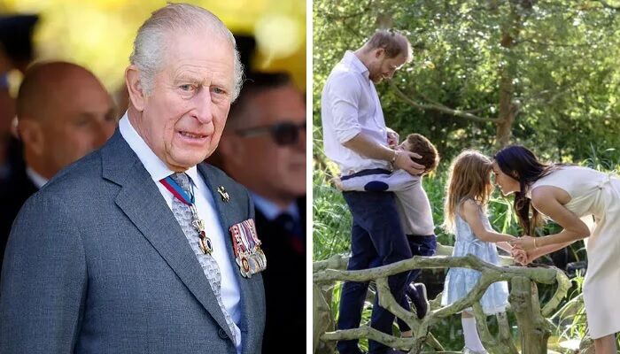 Prince Harry and Meghan Markle Face Crucial Decision After Private Reunion With King Charles