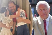 Prince Harry Shares Brief Update After Private Meeting With King Charles