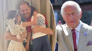 Prince Harry Shares Brief Update After Private Meeting With King Charles