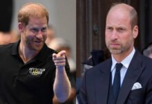 Prince Harry's Reunion With King Charles sparked Speculation About Monarch and Prince William