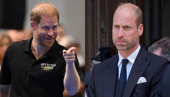 Prince Harry's Reunion With King Charles sparked Speculation About Monarch and Prince William