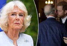 Queen Camilla Backs King Charles as Royal Family Looks Toward a More Peaceful Future After Prince Harry Reunion