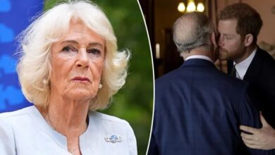 Queen Camilla Backs King Charles as Royal Family Looks Toward a More Peaceful Future After Prince Harry Reunion