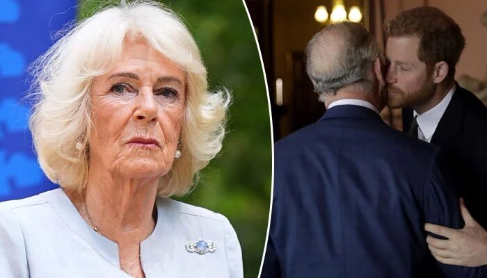 Queen Camilla Backs King Charles as Royal Family Looks Toward a More Peaceful Future After Prince Harry Reunion