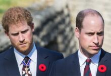 Prince William's Absence From Harry's Meeting With King Charles Becomes Major Talking Point
