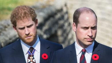 Prince William's Absence From Harry's Meeting With King Charles Becomes Major Talking Point