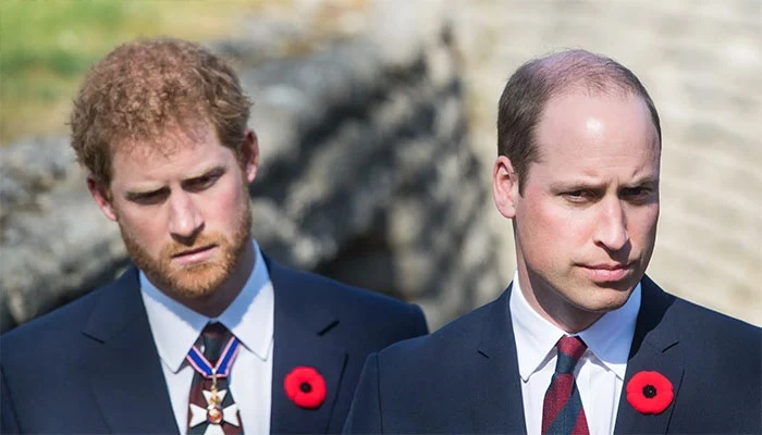 Prince William's Absence From Harry's Meeting With King Charles Becomes Major Talking Point