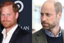 Prince Harry Takes Wise Step To Win Over Prince William After Royal Meeting