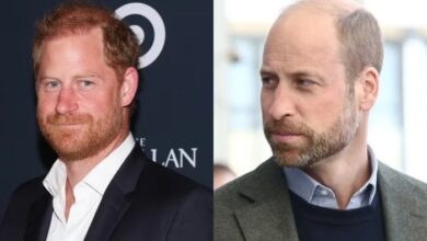 Prince Harry Takes Wise Step To Win Over Prince William After Royal Meeting