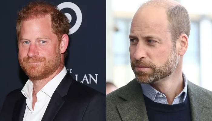 Prince Harry Takes Wise Step To Win Over Prince William After Royal Meeting