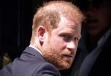 Palace Aides Rejects Prince Harry Return as Working Royal Despite King Charles Reunion