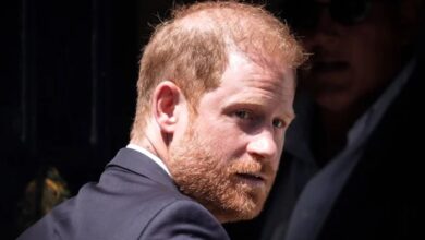 Palace Aides Rejects Prince Harry Return as Working Royal Despite King Charles Reunion