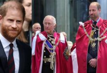 King Charles Bows To Unhealed Divide Between Prince Harry And Prince William