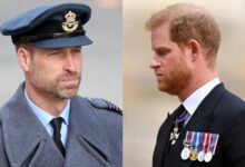 Prince William is Open To Make Peace With Prince Harry But On Strict Conditions